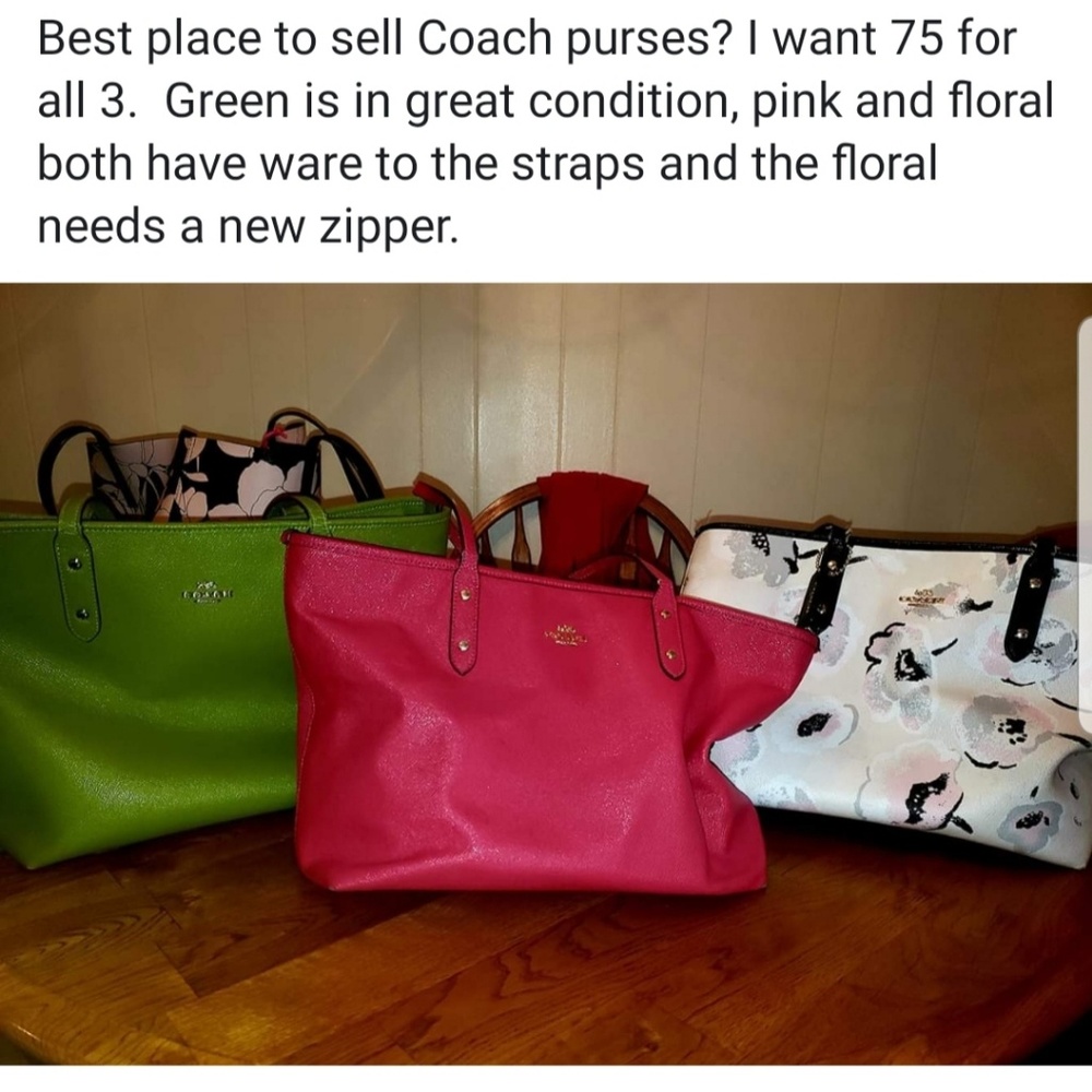 Coach purses